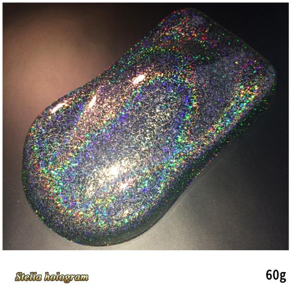 SHOW UP �X�e���z���O�����t���[�N SSLH10 �X�e���S�V���o�[�����O���C���{�[ 1mm 60g ���