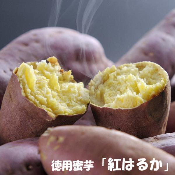 熊本 徳用蜜芋 紅はるか 芋 お取り寄せ お取り寄せグルメ さつま芋 送料無料