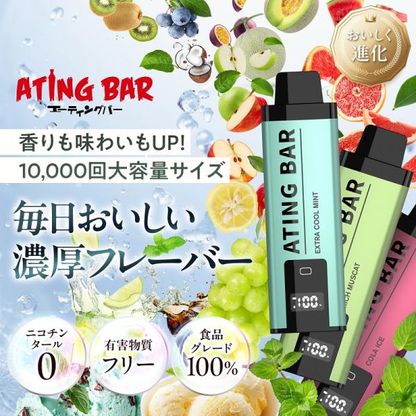 10,000回 吸引 ATING BAR スマート シーシャ 充電式 ニコチン0 タール0 禁煙グッズ タバコの代わりになる物 禁煙 水蒸気 タバコの代わり ニコチンなし