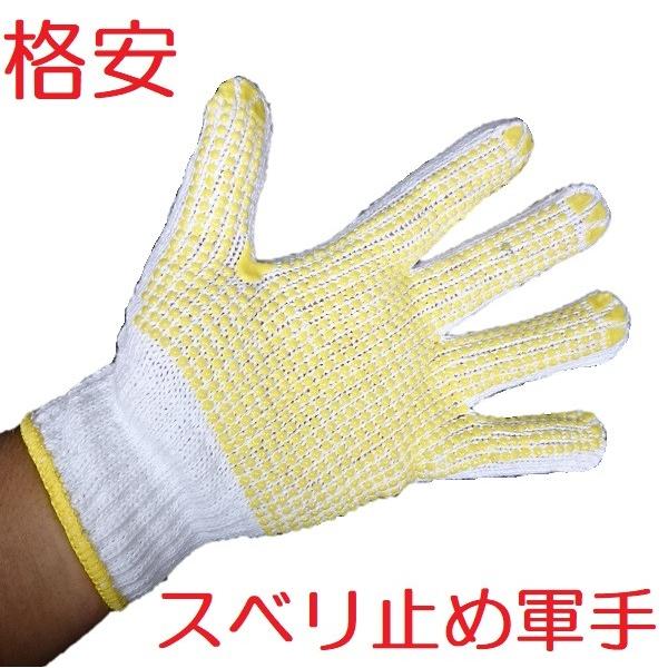 Iׂ~ߎ܁@PQog@݌ɏZ[i