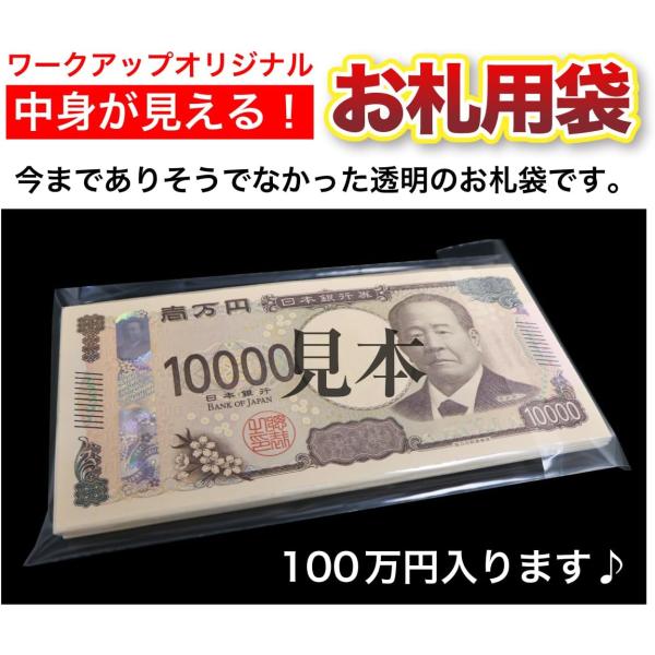 �y100�����z���D�E�D���p�� ������100�����铧�����������ICPP�܂̔j��ɂ����^�C�v ���i�摜2