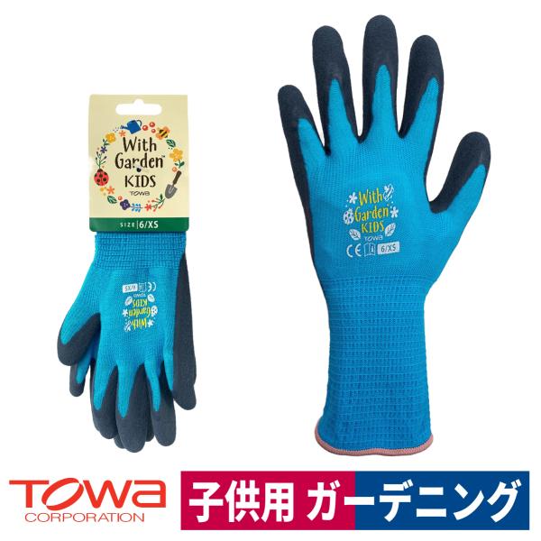 マーク・ダイオンの『驚異の部屋』 ゴム手袋付き限定版 ミクロコスモグラフィア マーク・ダイオンの『驚異の部屋』 ゴム