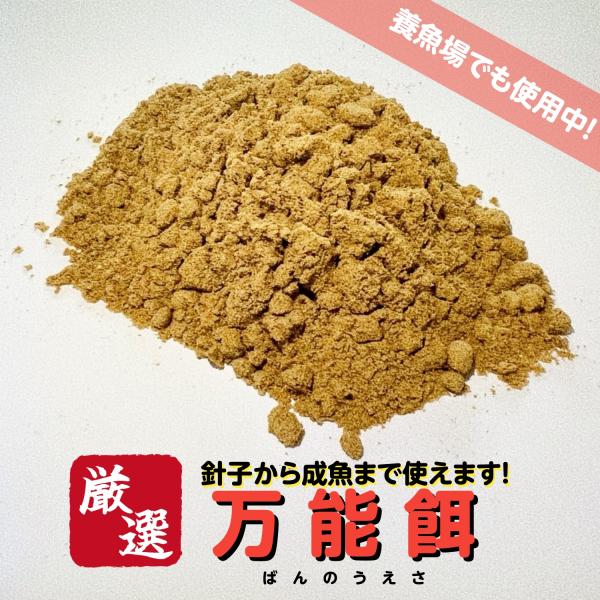 【商品の説明】万能餌　100g※写真は参考画像です。※使用方法の説明書などは添付しておりませんので、ご不明な方は公式LINEまでお問い合わせください。【注意事項】・ご到着後、商品に間違いがないか、必ずお確かめの上開封して下さい。開封後はいか...