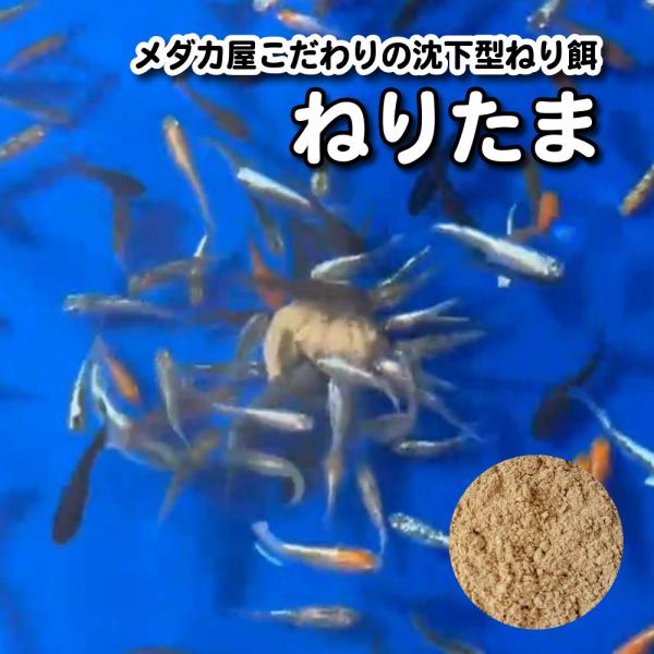 【100g】メダカ屋の練り餌　ねりたま【送料無料】沈下型練り餌 長時間給餌 高タンパク 高栄養 めだか