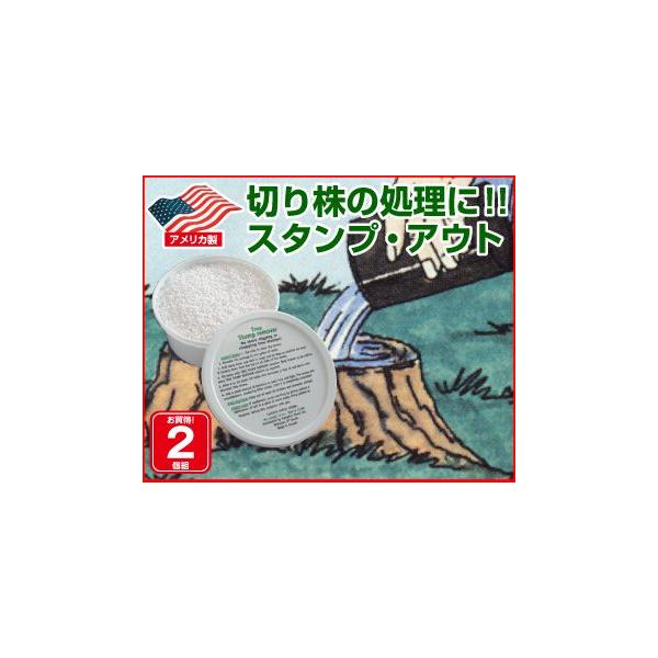 ؂芔 X^vAEg 2g ؂芔
