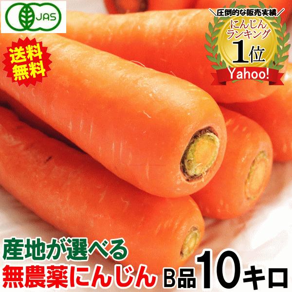 300円引き！無農薬にんじん 10キロ 産地が選べる 訳あり  有機人参 無農薬人参 10kg ジュース用に最適 送料無料