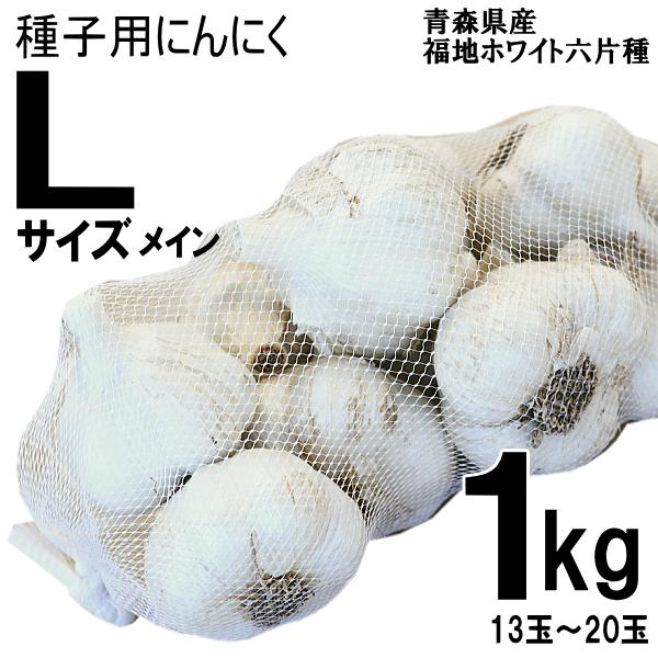 種用にんにく 青森 にんにく 種玉 1kg (約13玉-20玉前後) Lサイズ 
