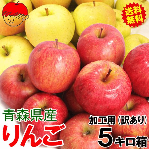 〈売約済〉小動物の臨床栄養学 第5版　りんご Amazon.co.jp: 小動物の臨床栄養学 第5版 : ペット用品