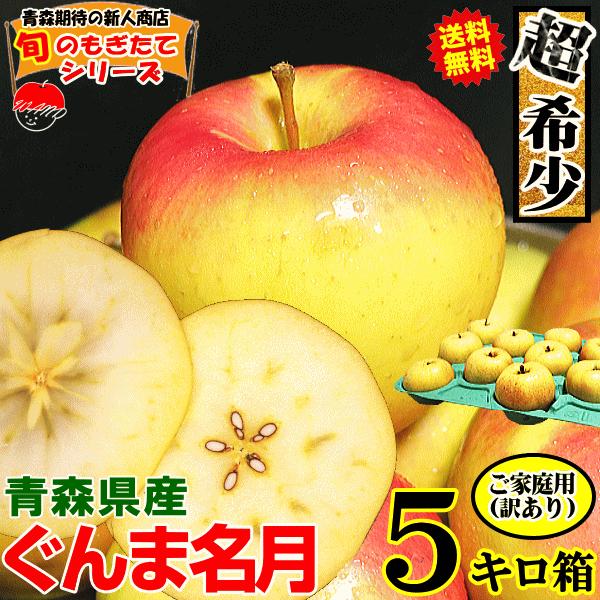 クール送料無料 あすつく りんご 5kg箱 ご家庭用 ふじ 鮮度抜群 青森 リンゴ ５キロ箱 大小様々