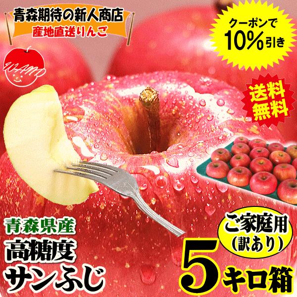 クーポンで200円引き 青森 りんご 5kg箱 サンふじ 家庭用 リンゴ 青森 5キロ箱 送料無料