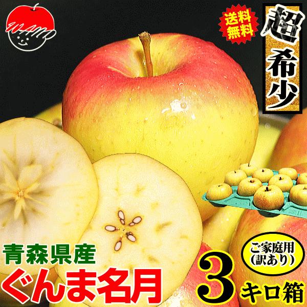 りんご 3kg箱 ぐんま名月 ご家庭用/訳あり 青森 リンゴ 3キロ箱 送料無料 予約