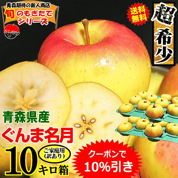 【出荷中】青森 りんご 10kg箱 ぐんま名月【送料無料】 家庭用/訳あり 青森 リンゴ 訳あり 10キロ箱★名月 家訳 10kg箱