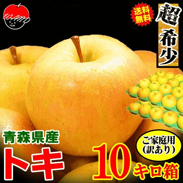 【出荷中】青森 りんご 10kg箱 小トキ【送料無料】 家庭用/訳あり 青森 リンゴ 訳あり 10キロ箱★小トキ 家訳 10kg箱