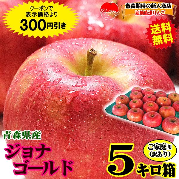 りんご 5kg箱 家庭用/訳あり 青森 ジョナゴールド リンゴ 5キロ 送料無料 5キロ箱【家庭用訳あり】★ジョナ 家訳 5kg箱