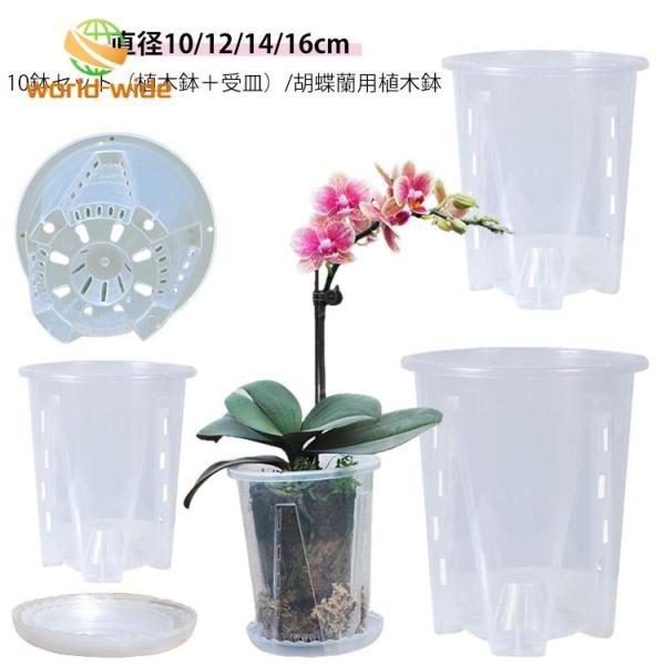 胡蝶蘭鉢 植木鉢 穴付き セット プラスチック 穴付き 10鉢セット 胡蝶蘭の植え替え プランター 透明 胡蝶蘭 受皿付き 植木鉢 オーキッドポット