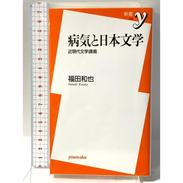病気と日本文学 ~近現代文学講義 (新書y) 洋泉社 福田 和也
