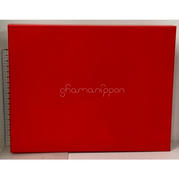 堂本剛 Shamanippon パンフレット KinKi Kids キンキキッズ