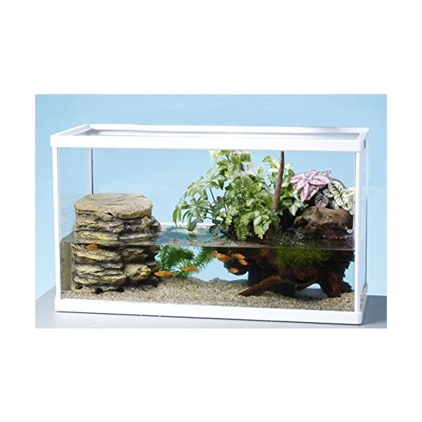 テトラ Tetra テトラ アクアテラリウムセット Wa 5tf Dotpanj Tj