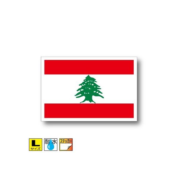 omXebJ[ LTCY 10×15cm@OόϐV[@X[cP[XԂȂǂ