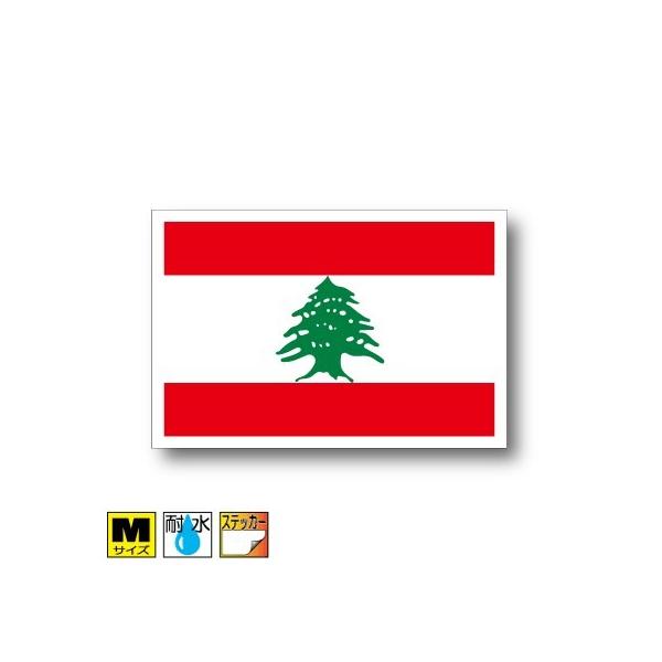 omXebJ[ MTCY 8×12cm@OόϐV[@X[cP[XԂȂǂ
