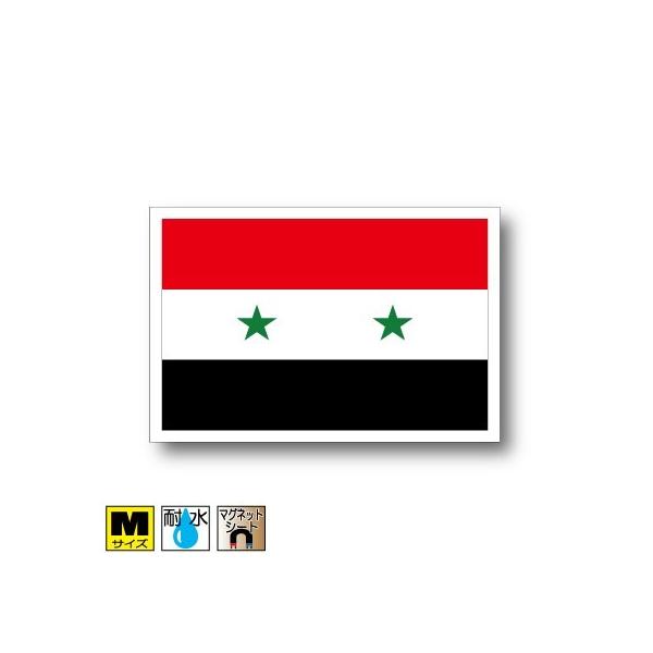 VA}Olbg MTCY 8×12cm@΁E}OlbgXebJ[ ό UV ϐ