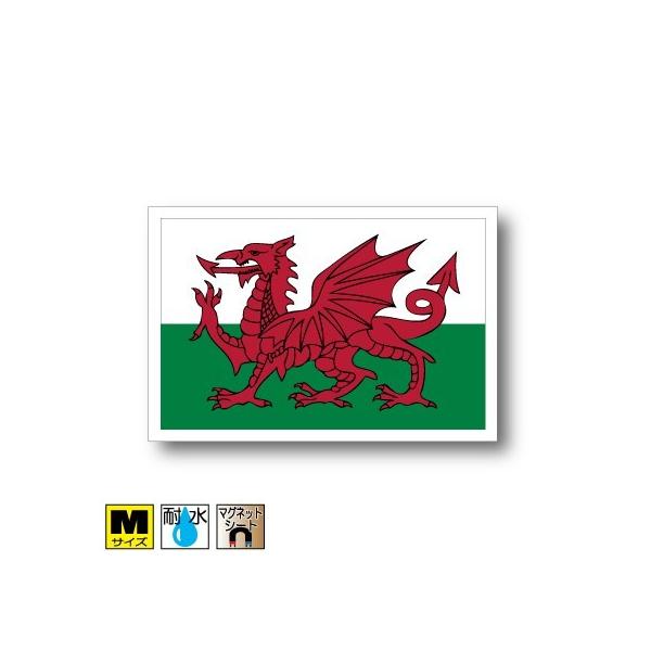 EF[Y}Olbg MTCY 8×12cm@΁E}OlbgXebJ[ ό UV ϐ