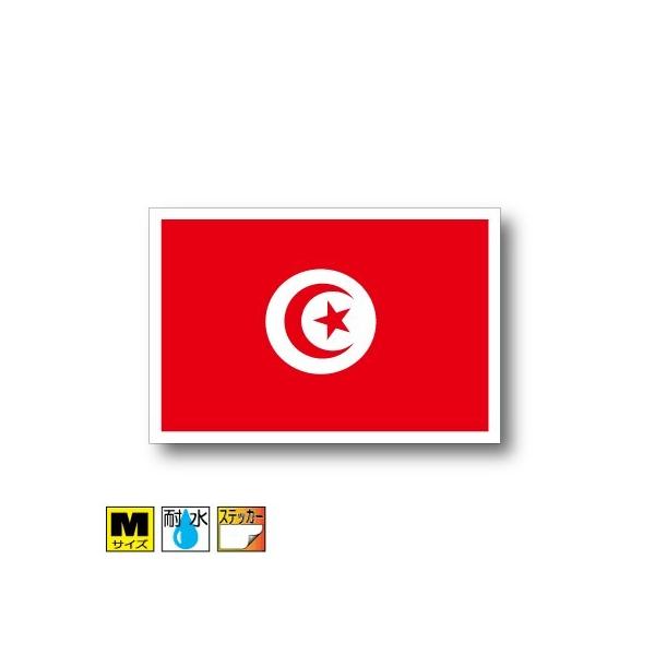 `jWAXebJ[ MTCY 8×12cm@OόϐV[@X[cP[XԂȂǂ