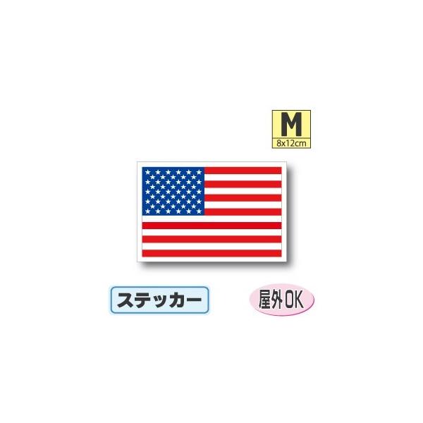 AJXebJ[ MTCY 8×12cm@EAJ@OόϐV[@X[cP[XԂȂǂ