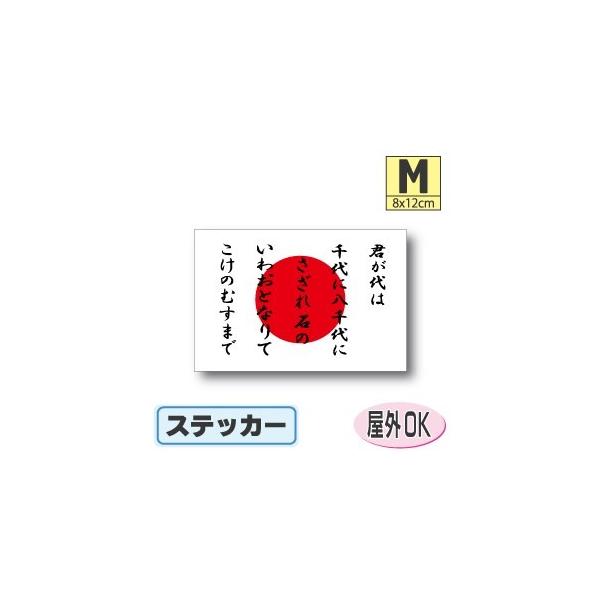 N{{@XebJ[ MTCY 8×12cm@@͊E̊ہ@OόϐV[@X[cP[XԂȂǂ {