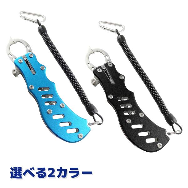 worlddepartyafuu_qb500005