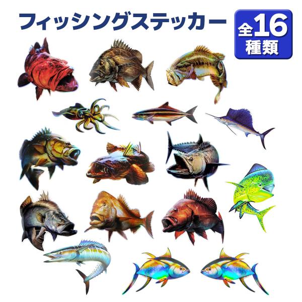 オルルド釣具より、迫力のあるリアルなステッカーが登場です！クーラーボックスやタックルケースに貼り付けたり、釣り好き・魚好きの方へのプレゼントとしてもオススメです。【商品仕様】（※ ★マークが付いているものはホログラム仕様です）・チヌ　高さ：...