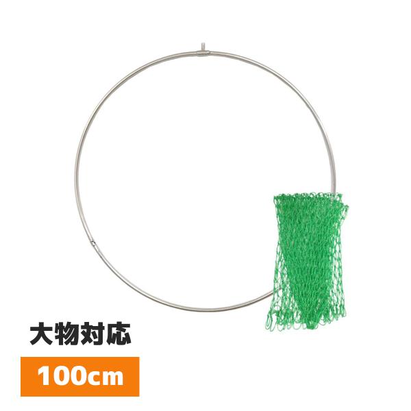 アオダモ（巨大サイズ）インテリア用 worlddepartyafuu_ul510003a00n0