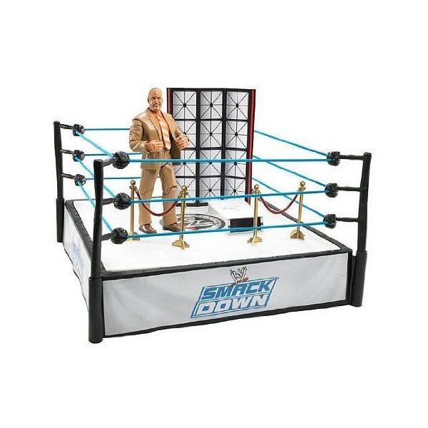 WWE プロレスリング フィギュア WWE (プロレス) Series 6 Ring and アクションフィギュア - MVP