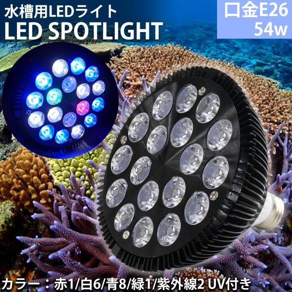 紫外線 LED ライト - 水槽用照明の人気商品・通販・価格比較 - 価格.com 紫外線 LED ライト - 水槽用照明の人気商品・通販・価格比較 - 価格.com