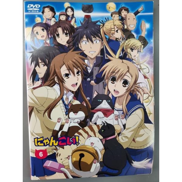 にゃんこい! 1 (DVD 通常版) にゃんこい! 1 (DVD 通常版): Amazon.ca: Movies & TV Shows