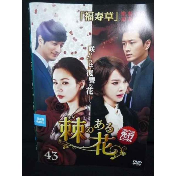 ys0179 レンタルUP＃DVD 棘のある花 全43巻 ※ケース無