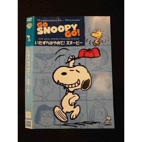 ★未開封　未使用品★ スヌーピー　PEANUTS DVD 10枚セット ☆未開封 未使用品☆ スヌーピー PEANUTS DVD 10枚セット