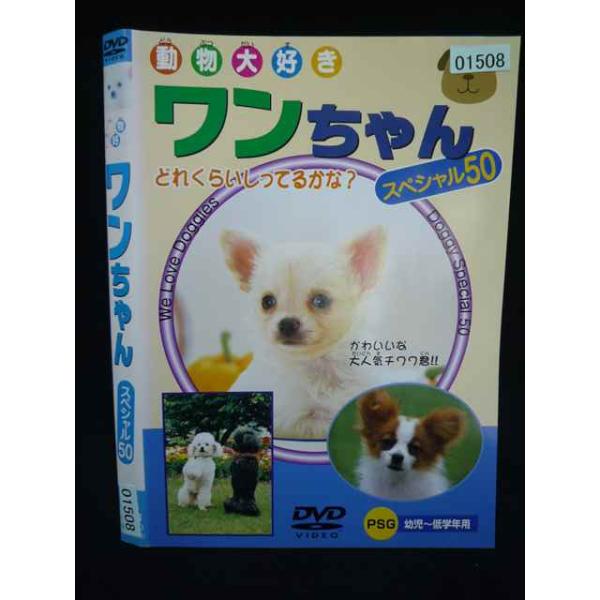 ○019994 レンタルUP・DVD 動物大好き ワンちゃん スペシャル50 01508 ※ケース無