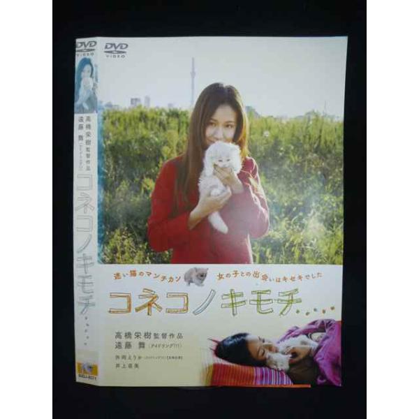 ○020068 レンタルUP・DVD コネコノキモチ 8071 ※ケース無