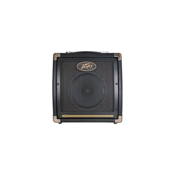 Peavey Ecoustic E20 20W 1x8 Acoustic Combo Amp