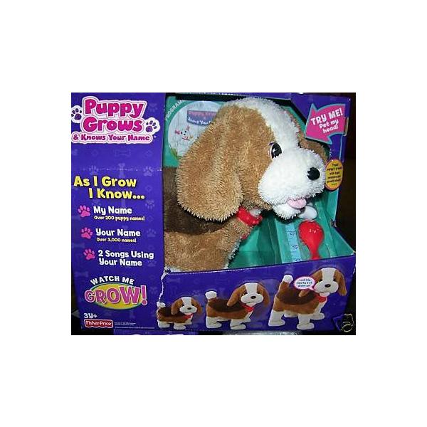 Fisher-Price(tBbV[vCX) q Grows and Knows Your Name Hound Dog Beagle?