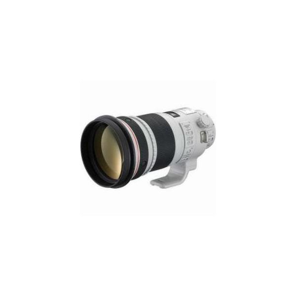 Canon EF 300mm f/2.8L IS II USM Image Stabilizer AutoFocus Telephoto Lens with Case &amp; Hood - Grey