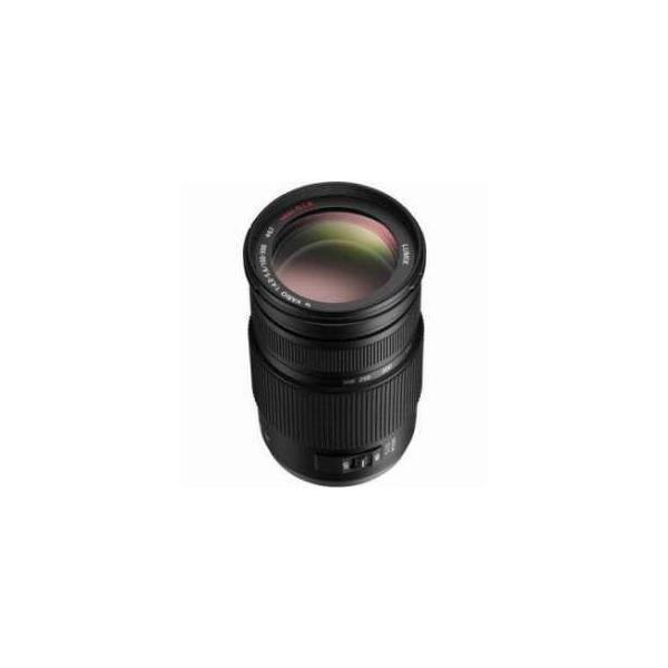 Panasonic Lumix G Vario 100-300mm f/4.0-5.6 MEGA O.I.S. Zoom Lens for Micro Four Thirds Lens Moun