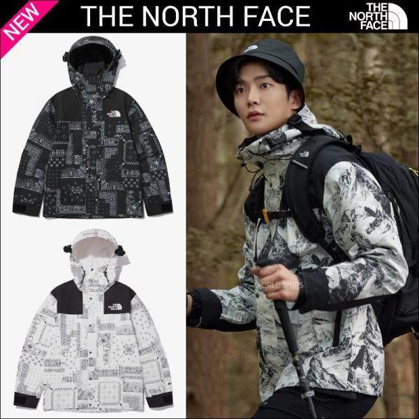 ☆最安値に挑戦 ノースフェイス NOVELTY ECO GTX マウンテンパーカー