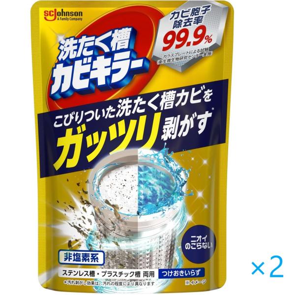 カビキラー ガッツリ剥がす洗濯槽カビキラー 粉末タイプ250g 洗たく 洗濯機 カビ取り 過炭酸ナトリウム 除菌 ×2 セット品