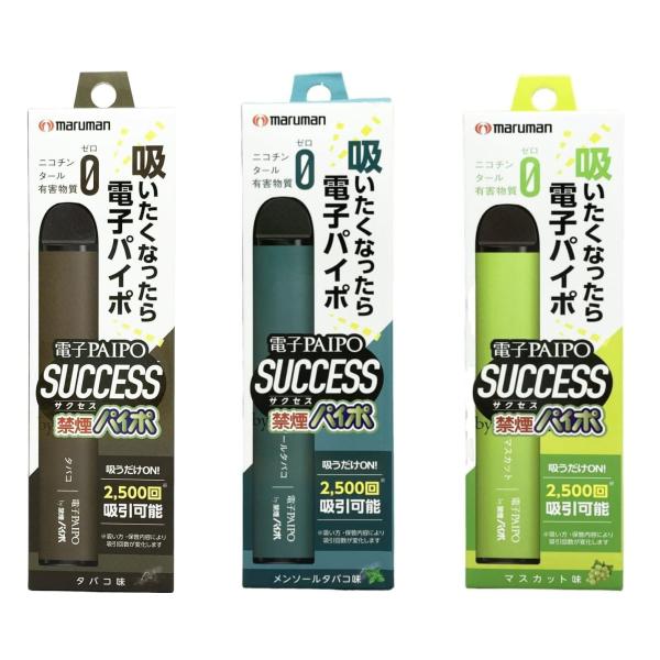 マルマン 電子パイポ サクセス 禁煙パイポ 電子PAIPO SUCCESS 3種 選べる