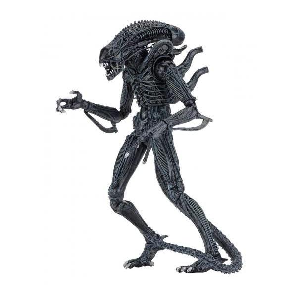 ネカ エイリアン 7インチ アルティメット アクションフィギュア ブルー・エイリアン・ウォーリアー/NECA 2018 ALIENS Ultimate Action Figure BLUE WARRIOR