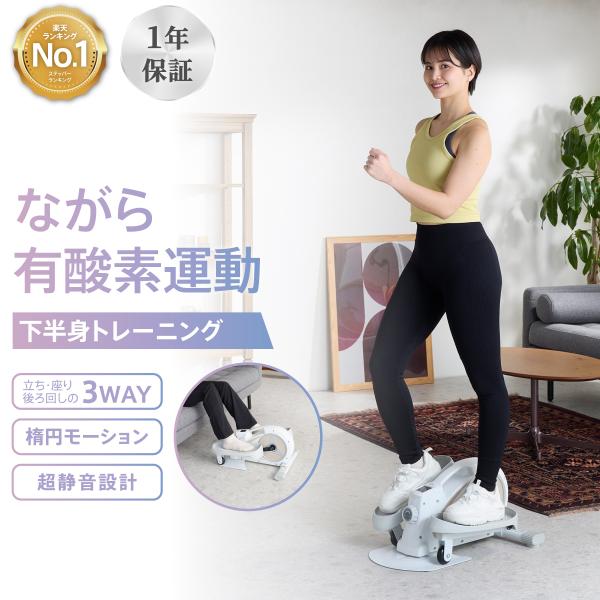 ルームバイク 立・座の2way エアロバイク ステッパー ROOMFIT ROOMBIKE 2カラー