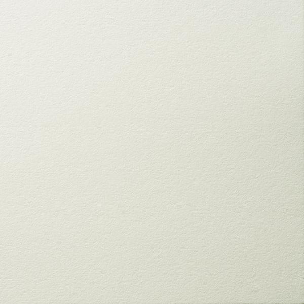 ヴィフアール水彩紙は「手軽に水彩を楽しんでいただきたい」との思いから、初心者にも手が届きやすい良質で安価な国産水彩紙として開発されました。ナチュラルな紙色なので、自然な風合いの作品に仕上がります。消しゴムでこすったり、水を使っても劣化しない...