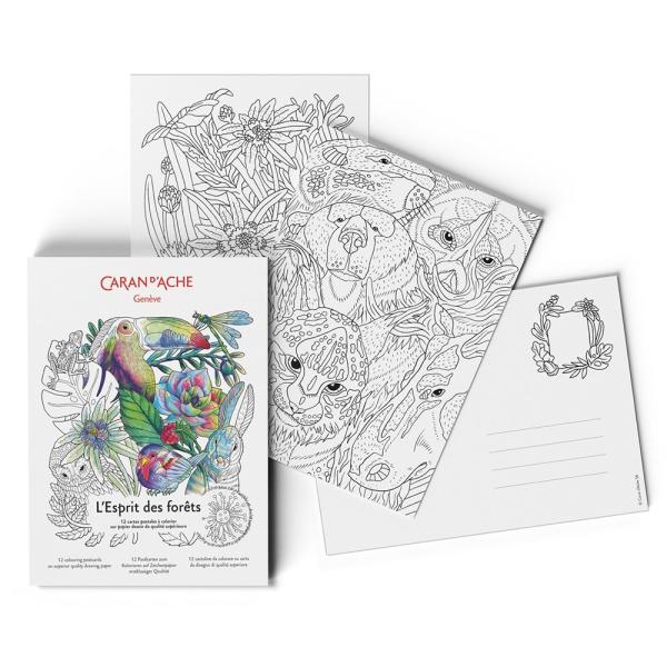 J _bV 0454-801 RA[W tHXg hG|XgJ[h 687322